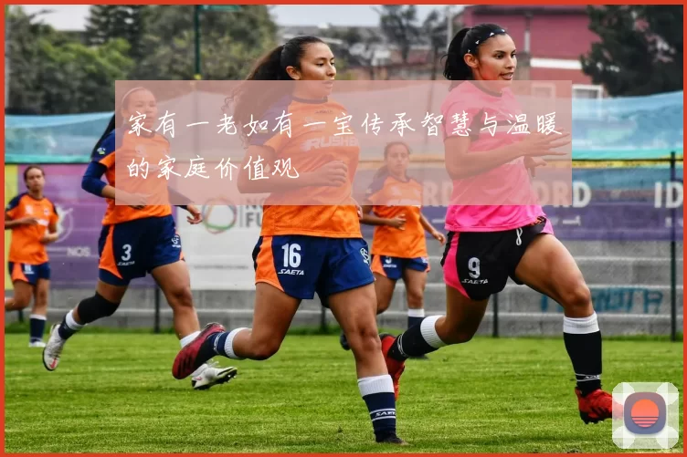 家有一老如有一宝传承智慧与温暖的家庭价值观