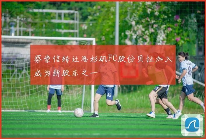 蔡崇信转让洛杉矶FC股份贝拉加入成为新股东之一