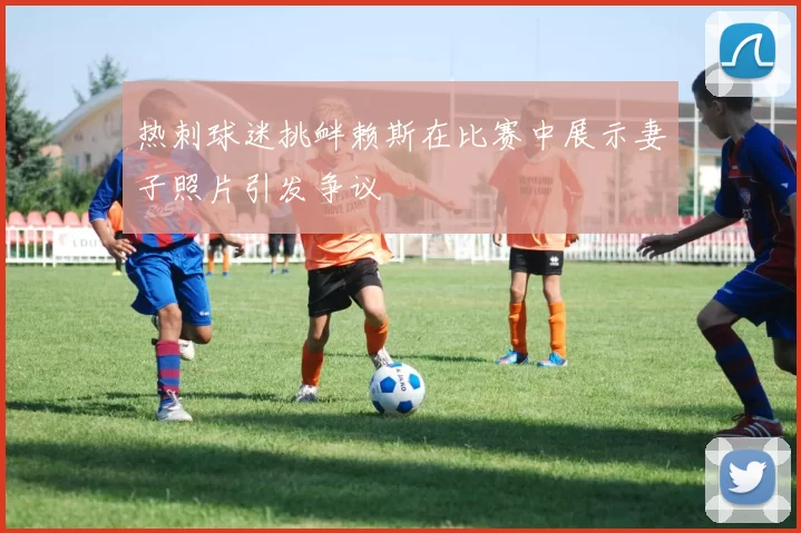 热刺球迷挑衅赖斯在比赛中展示妻子照片引发争议