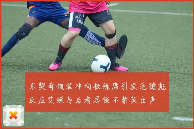 东契奇假装冲向教练席引发范德彪反应艾顿与后者忍俊不禁笑出声