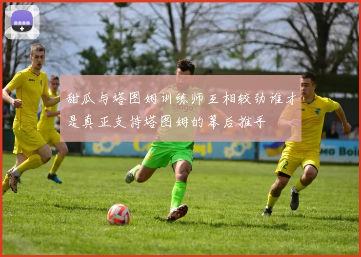 甜瓜与塔图姆训练师互相较劲谁才是真正支持塔图姆的幕后推手